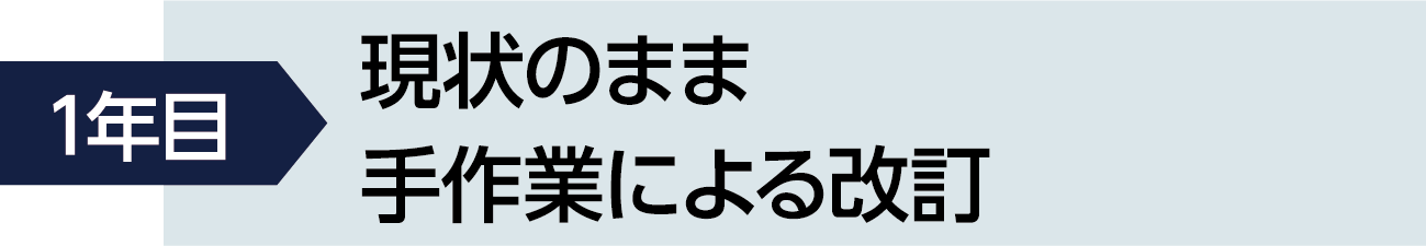 1年目現状のまま手作業による改訂